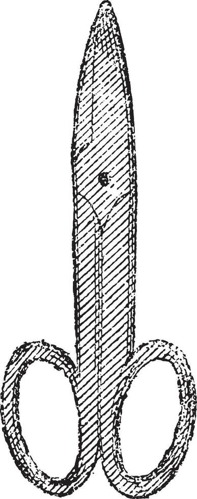 les ciseaux fleuriste, ancien gravure. vecteur