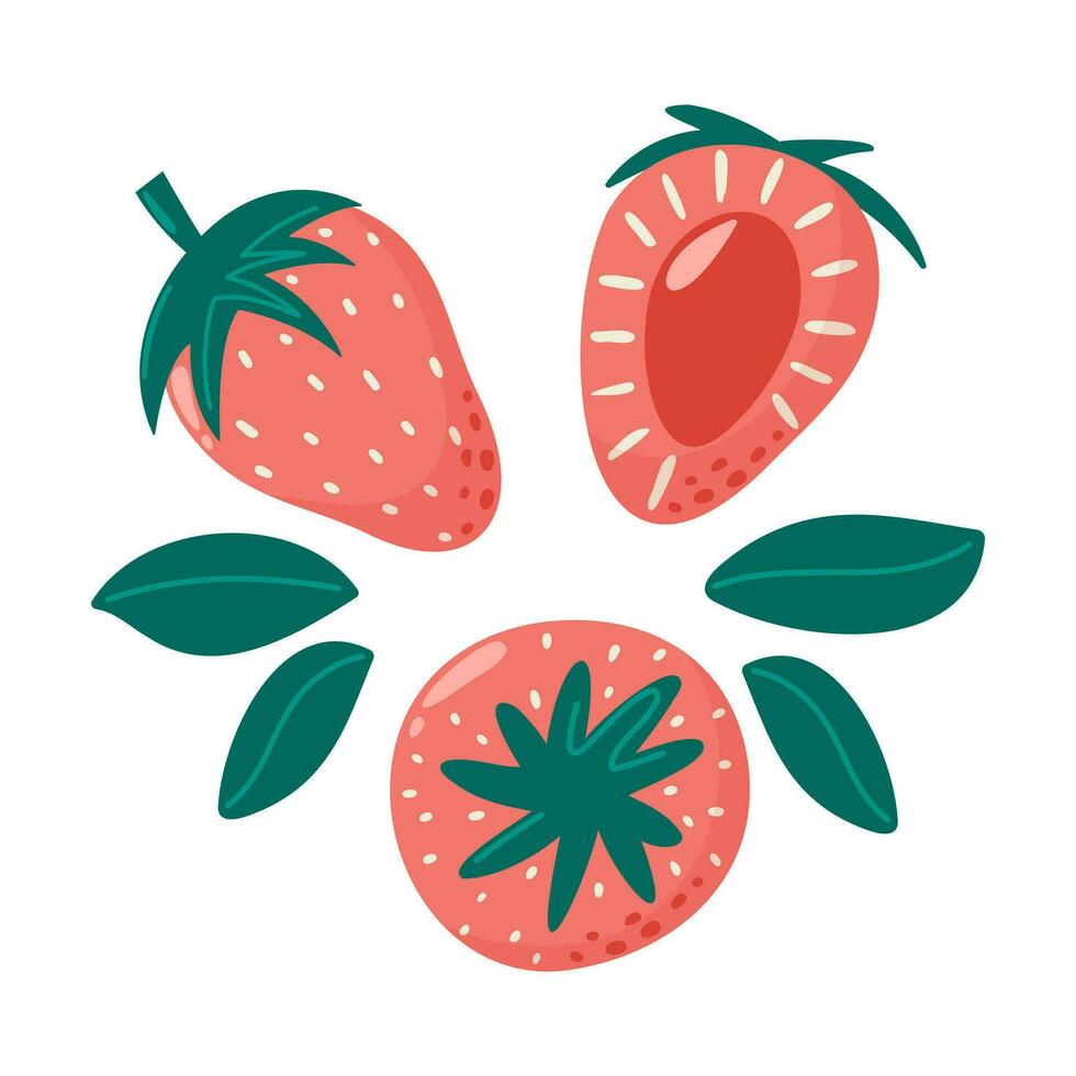 entier et tranché fraise avec feuilles. ensemble de sucré baies. été vitamine vecteur abstrait illustration pour bannière, affiche, prospectus, bannière, salutation carte. dessin animé plat style.