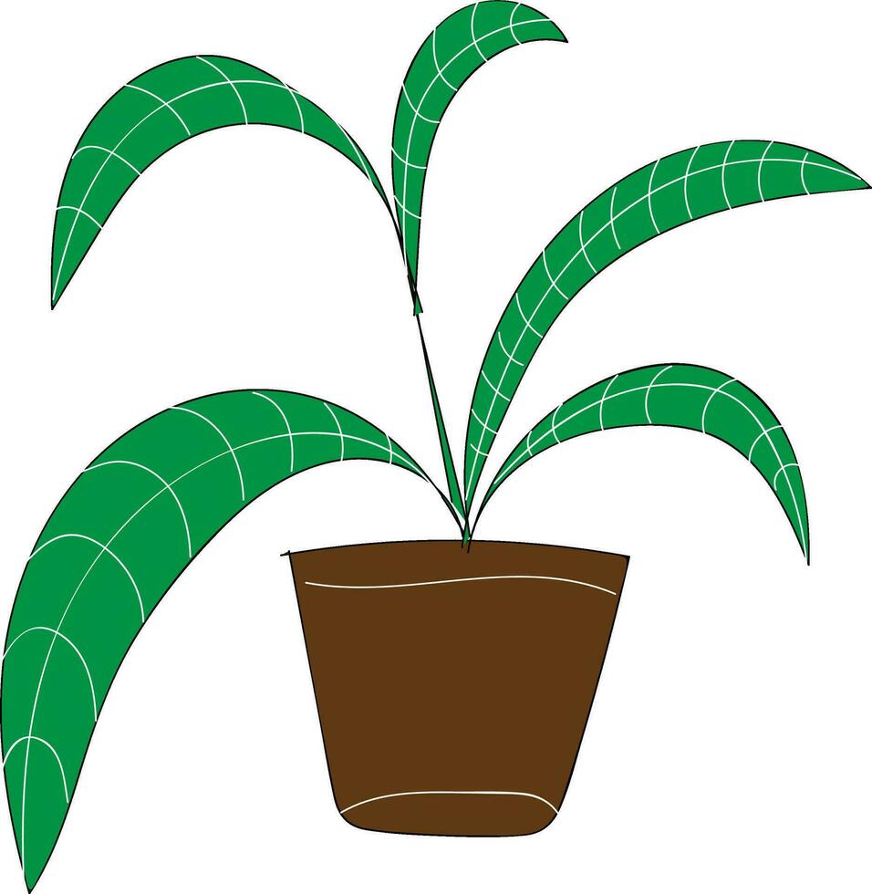 paume plante avec longue vert feuilles dans marron fleur pot vecteur illustration sur blanc Contexte
