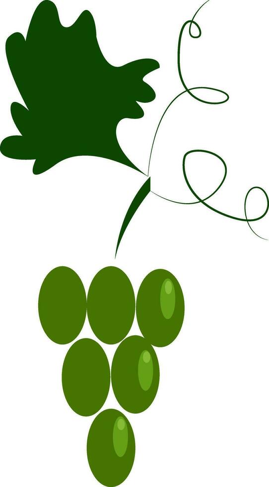 une bouquet de vert les raisins vecteur ou Couleur illustration