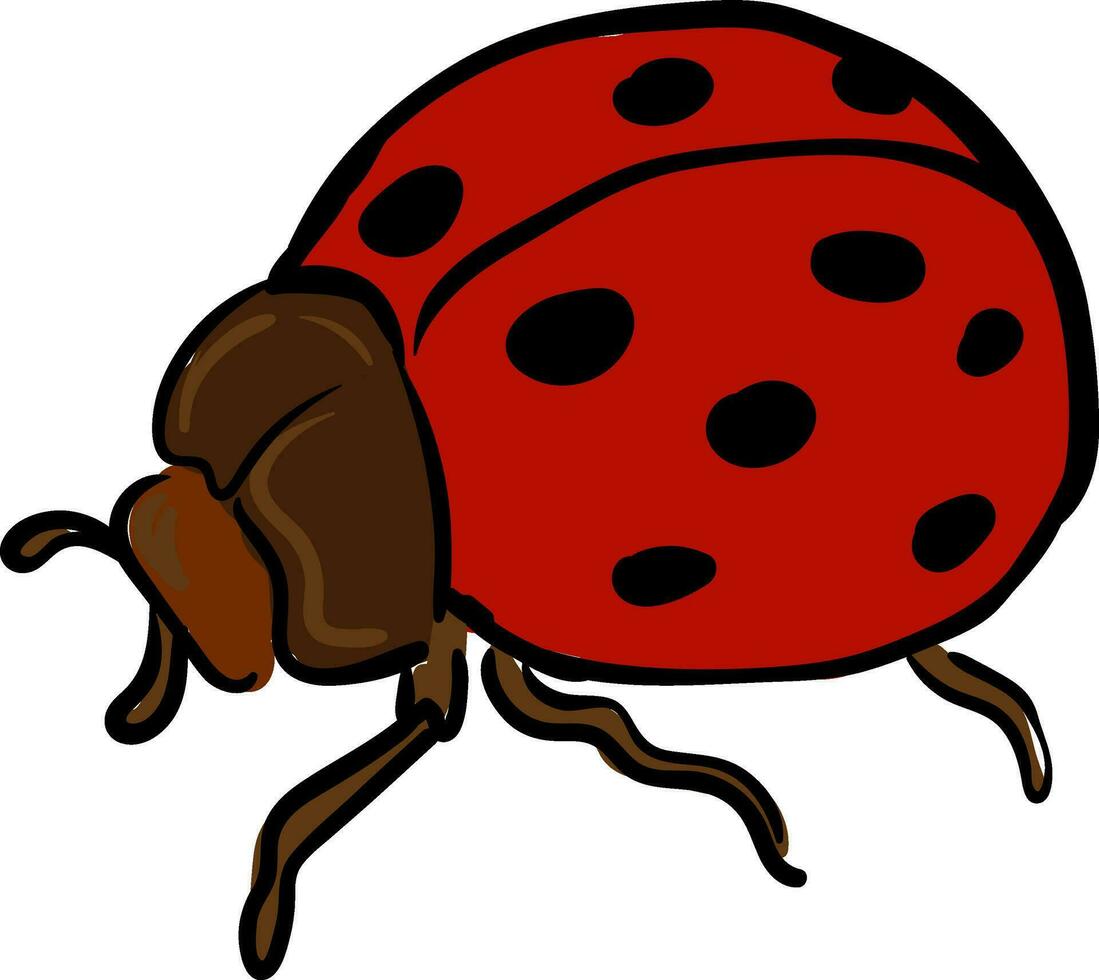 une gros coccinelle avec marron corps regards mignonne vecteur ou Couleur illustration