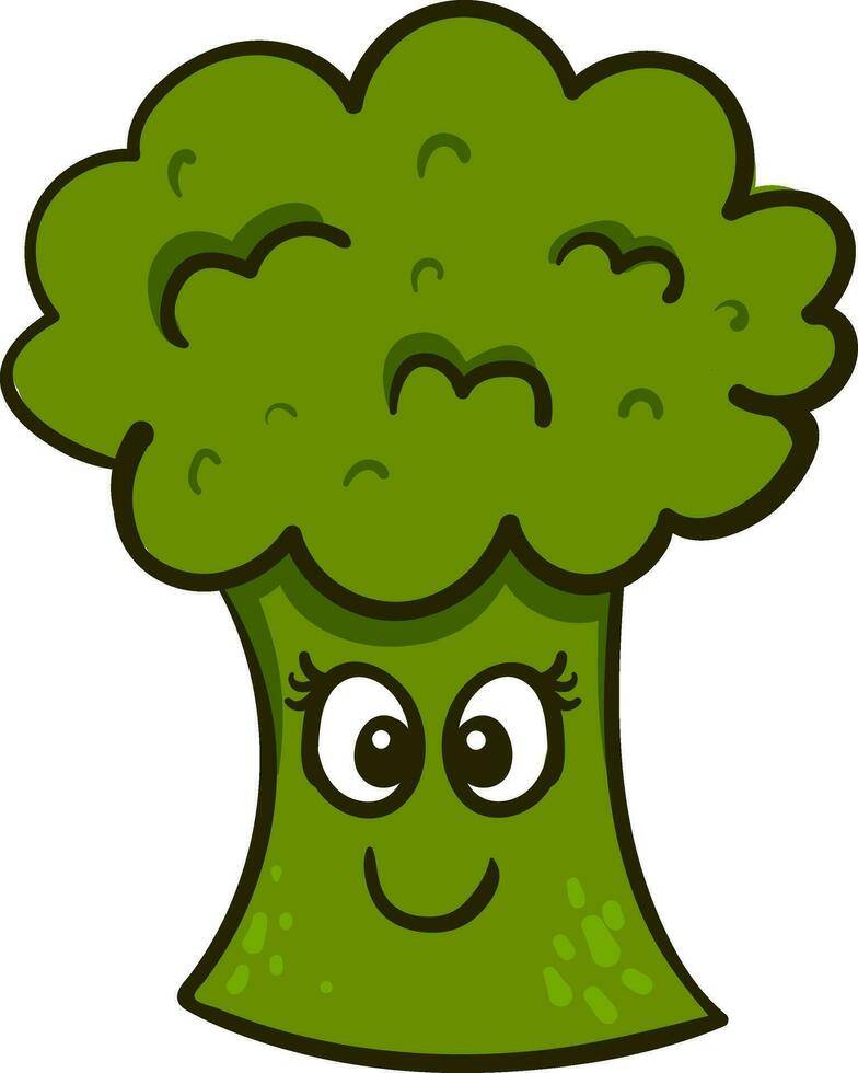 heureux, brocoli, illustration, vecteur, blanc, fond vecteur