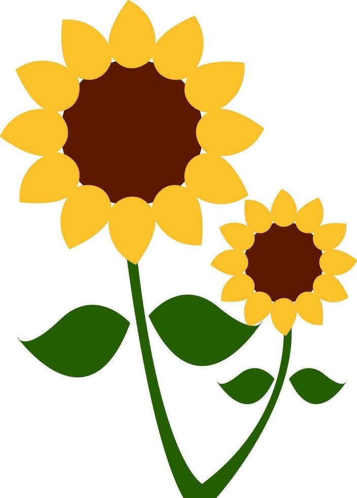 une tournesol plante avec deux fleur têtes vecteur ou Couleur illustration