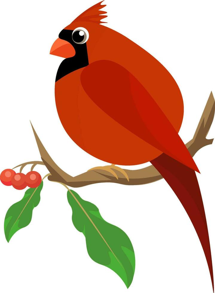 cardinal oiseau sur une branche , vecteur ou Couleur illustration