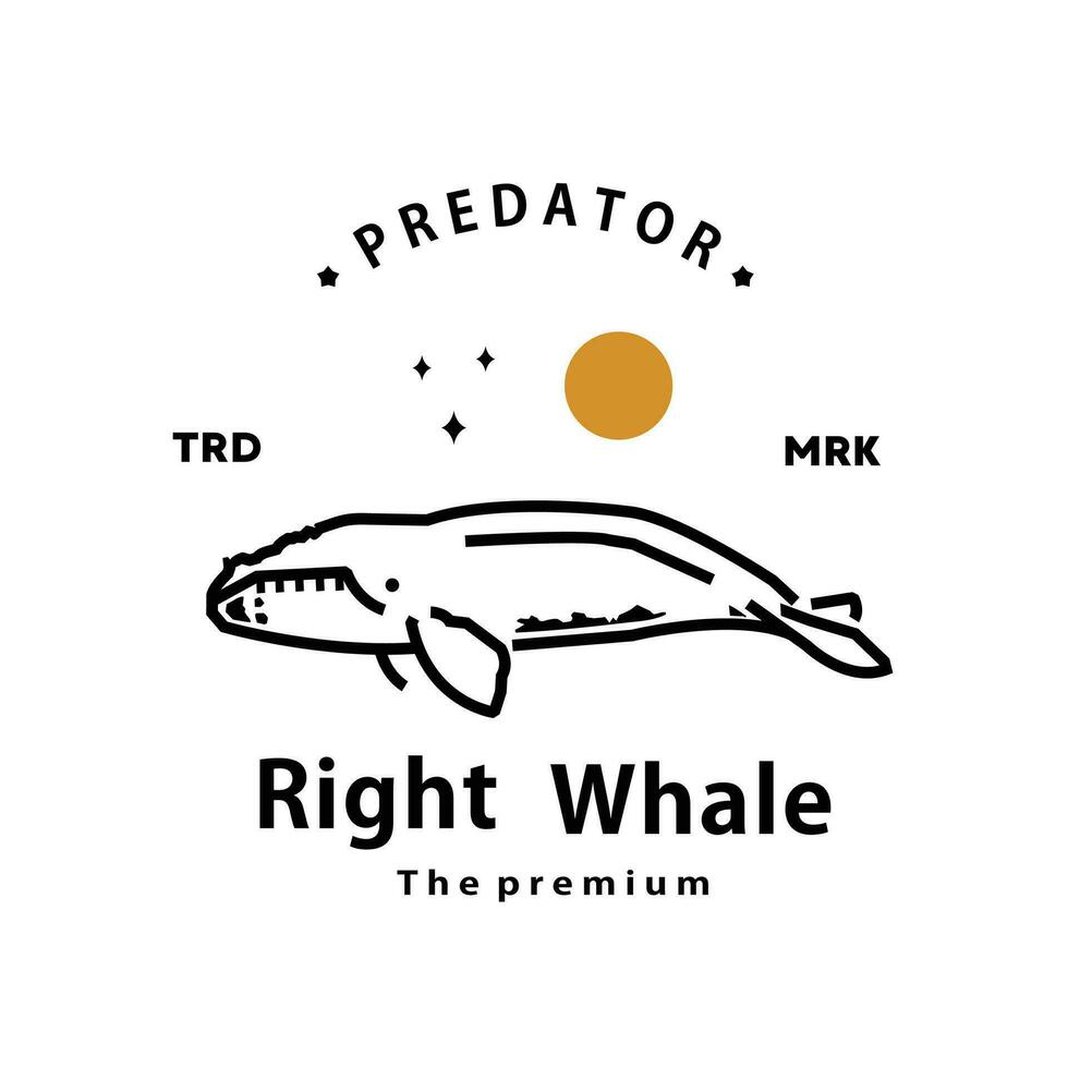 ancien rétro branché droite baleine logo vecteur contour monoline art icône