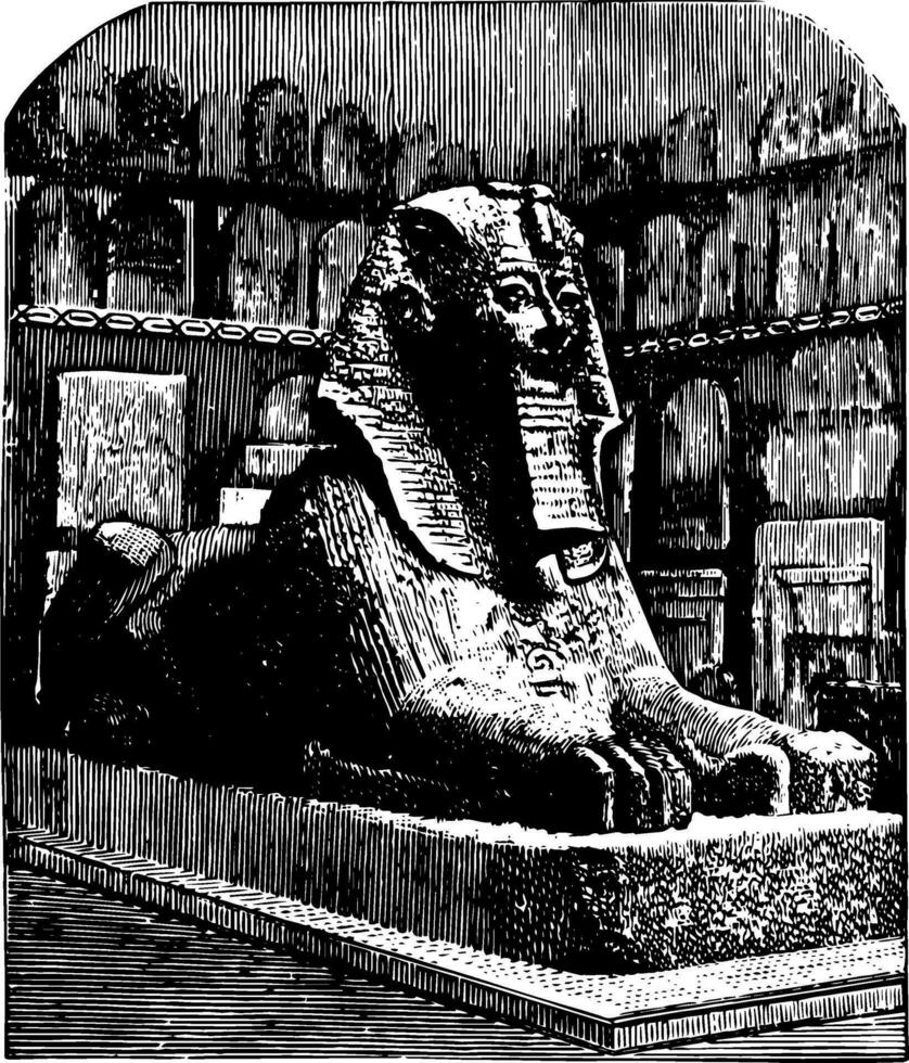 androsphinx de thothmes sphinx ancien gravure. vecteur