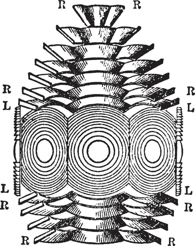 catadioptrique holophotal, illustration vintage. vecteur