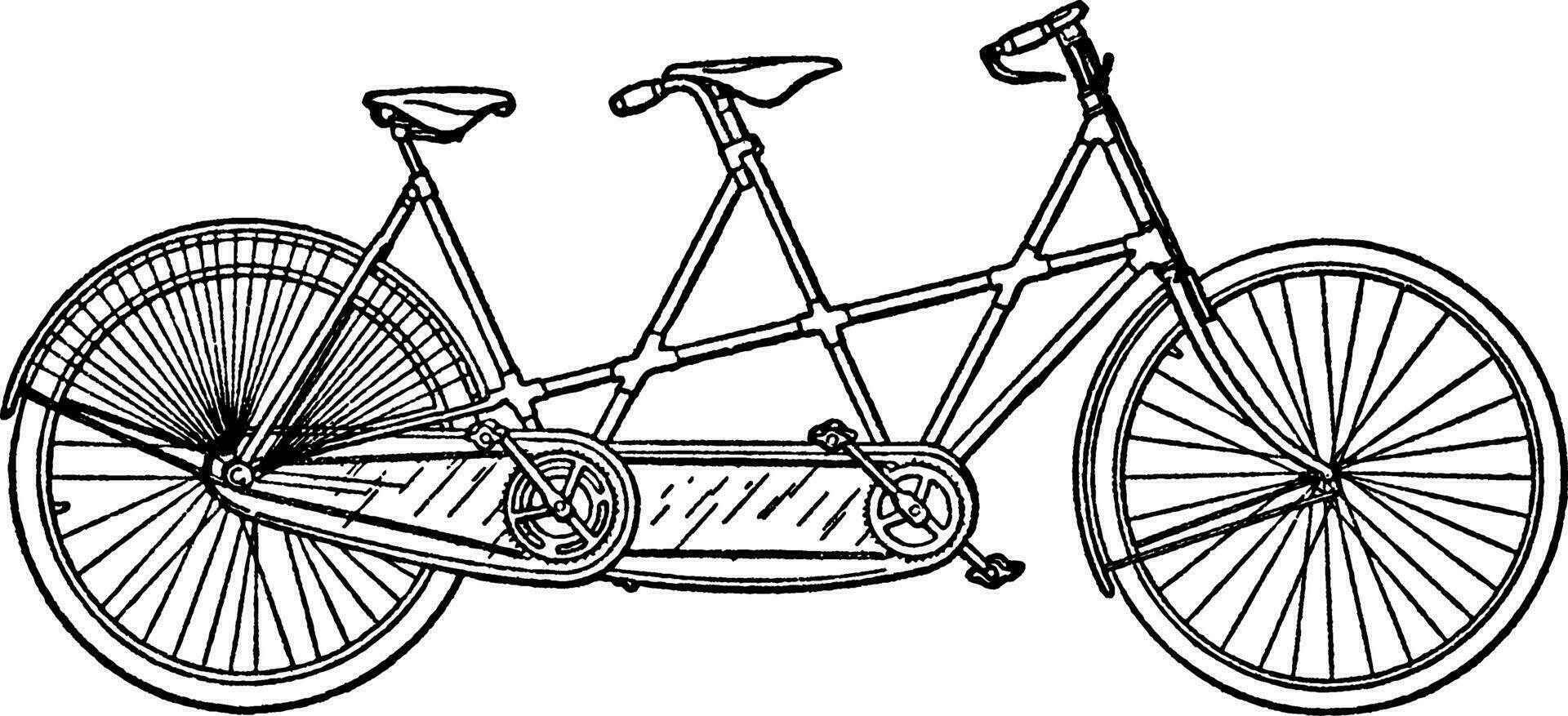tandem vélo, ancien illustration. vecteur