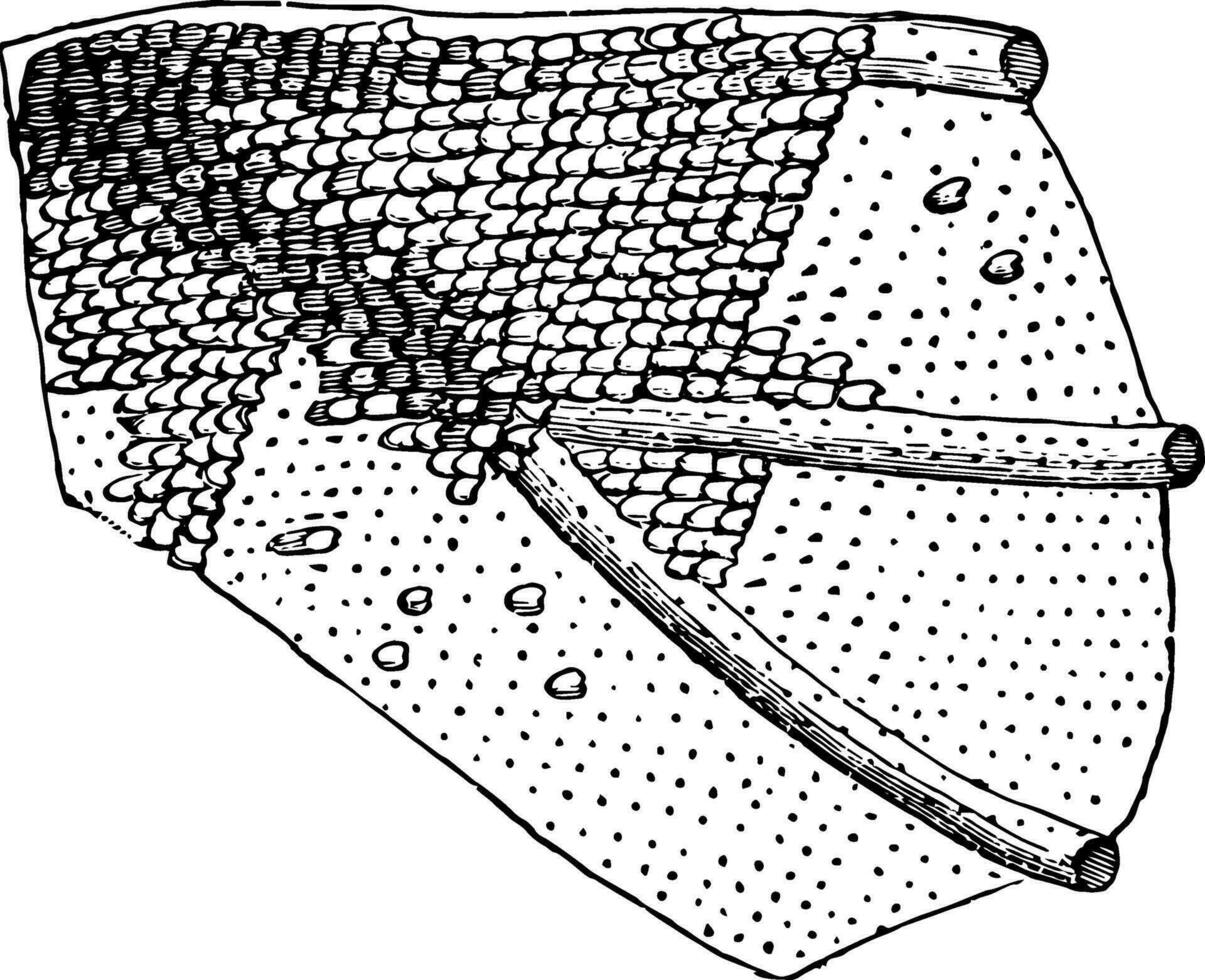 portion de le aile de une papillon de nuit ancien illustration. vecteur