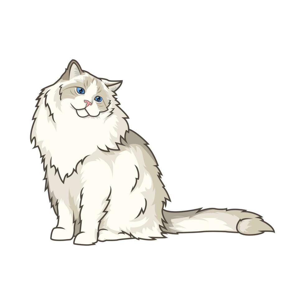 découvrir adorable ragdoll chatons dans divers charmant pose. ces haute qualité des illustrations exsuder Mignonnerie, parfait pour liés aux animaux de compagnie conceptions. vecteur