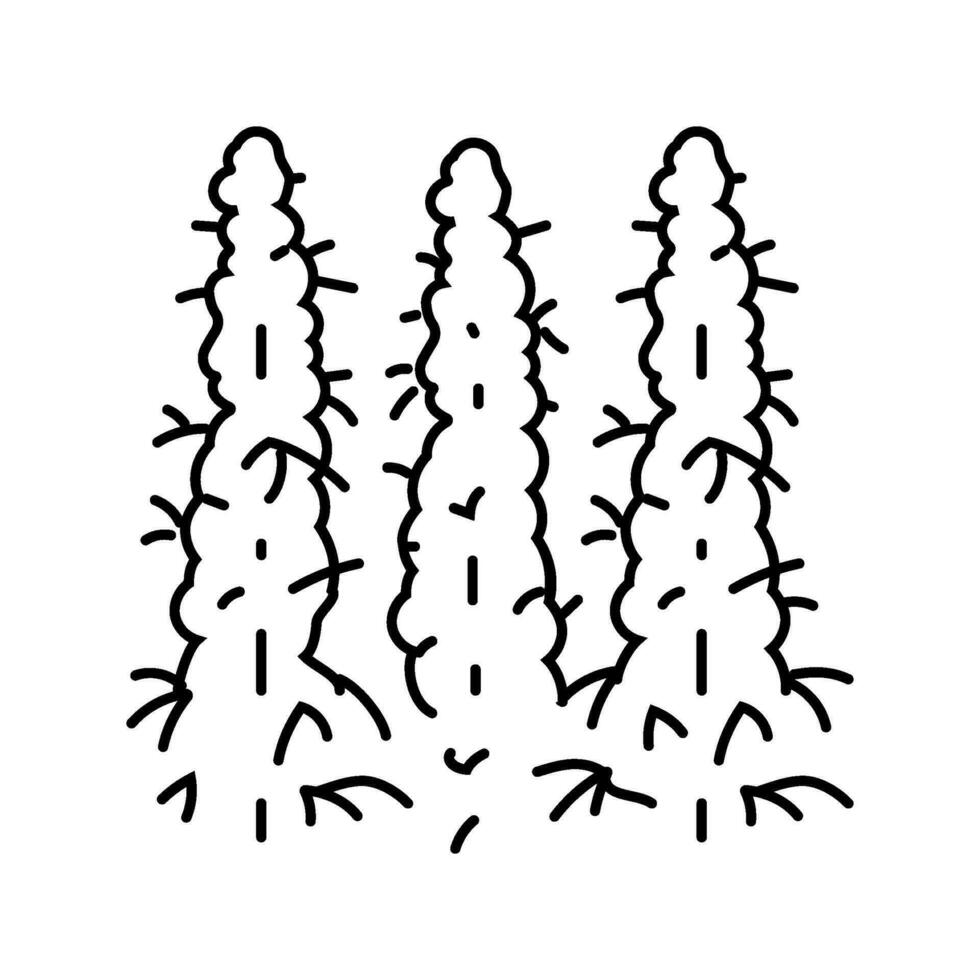 cannabis champ ligne icône vecteur illustration