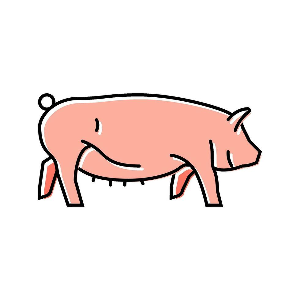 Yorkshire porc race Couleur icône vecteur illustration