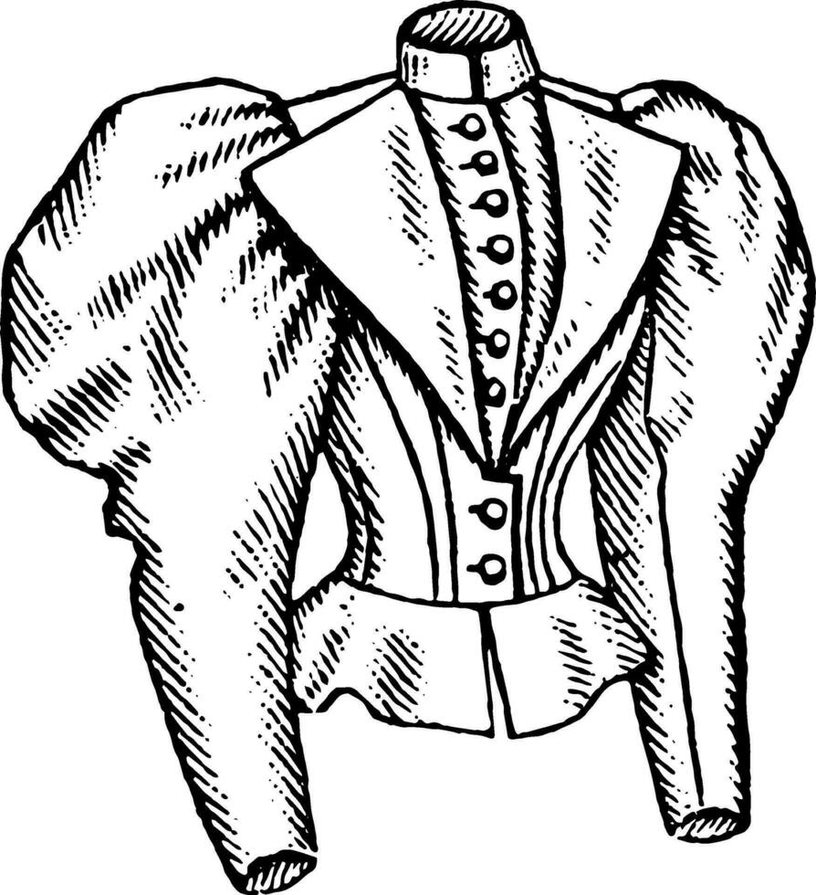 ajusté veste, dame conception, ancien gravure. vecteur