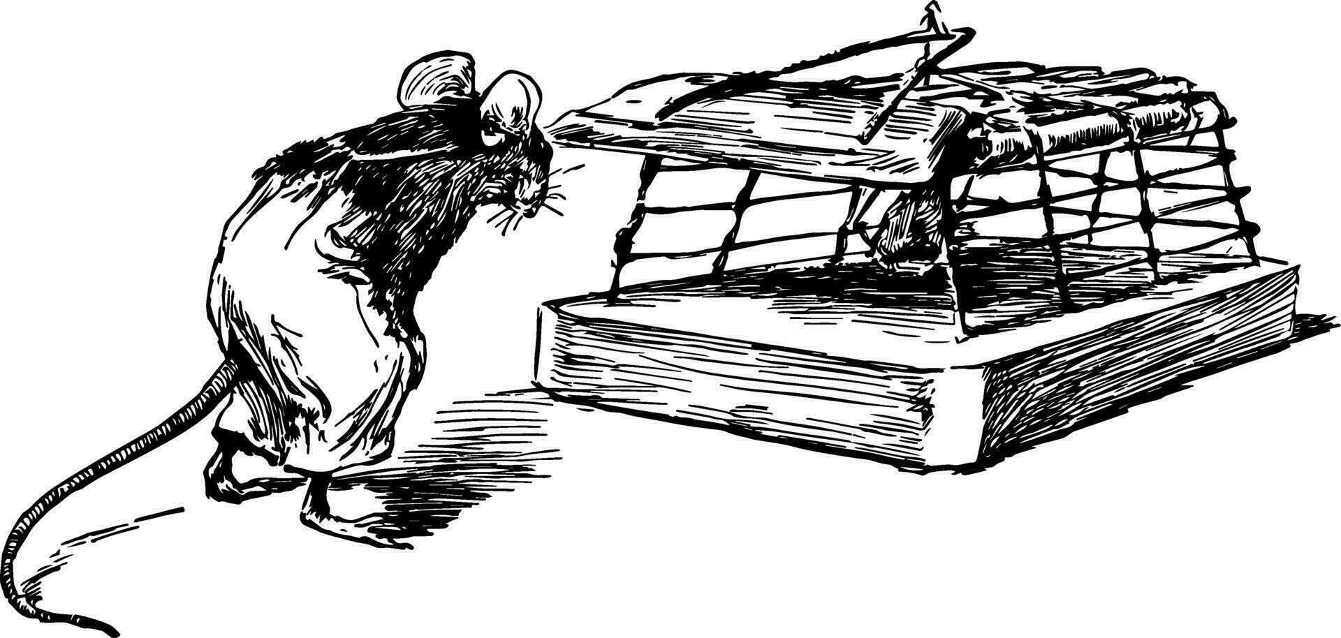 Souris et piège, ancien illustration vecteur