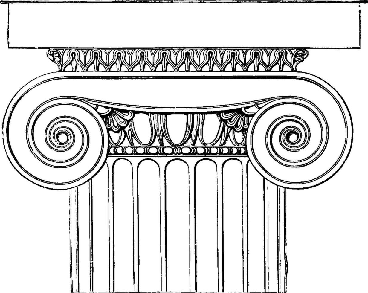 ionique capital, le temple de minerva Polias à priène, ancien gravure. vecteur