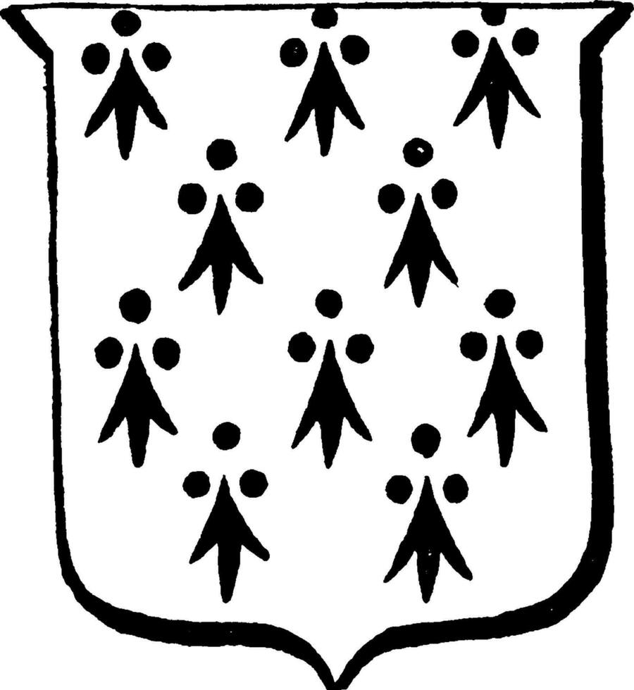 hermine sont représentée avec ses particulier taches noir, ancien gravure. vecteur