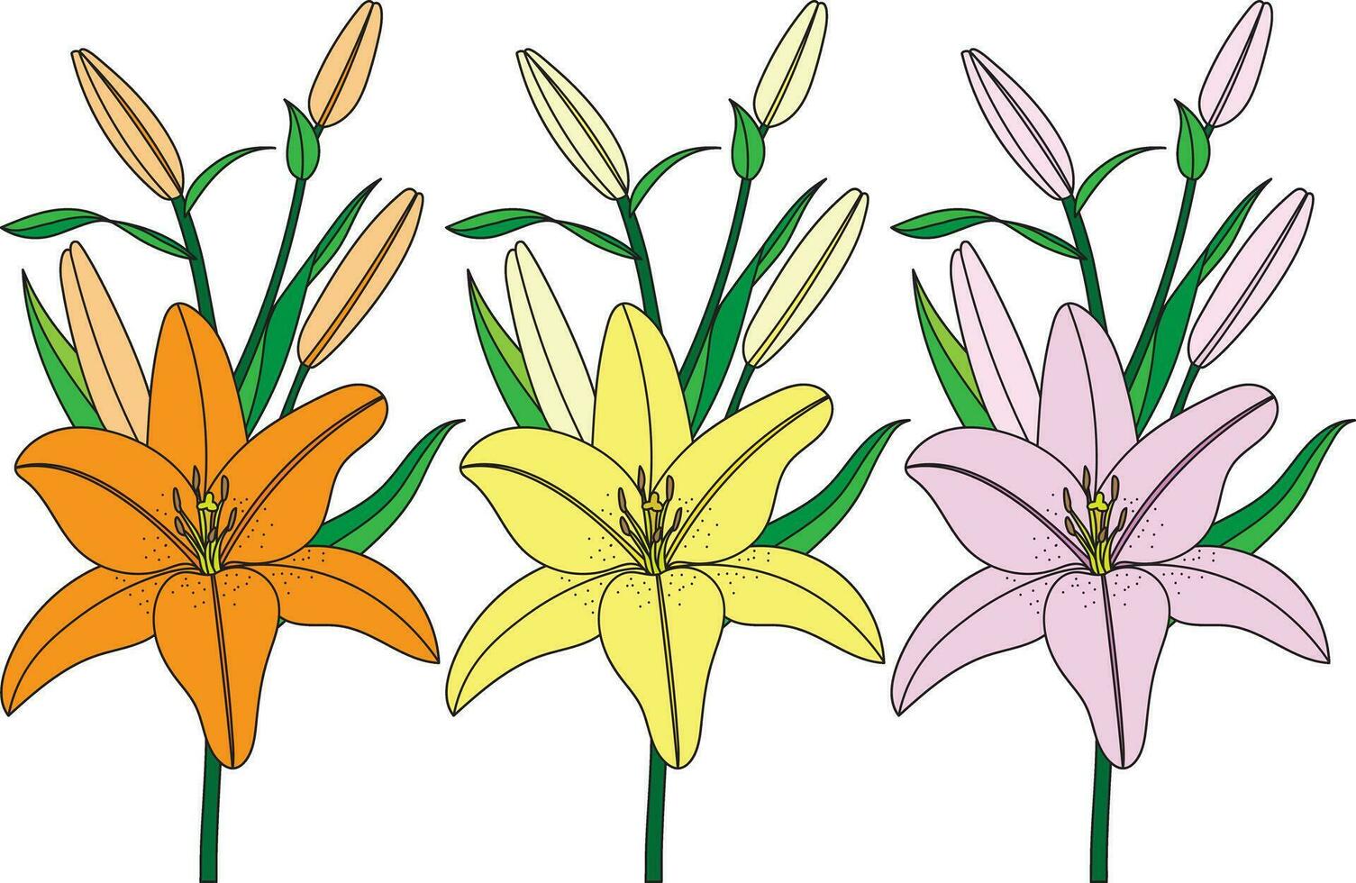 illustration de lis fleur bouquet avec feuilles sur blanc Contexte. vecteur