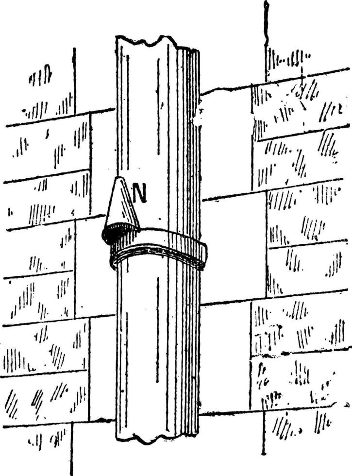 descente pluviale nez, ancien gravure vecteur