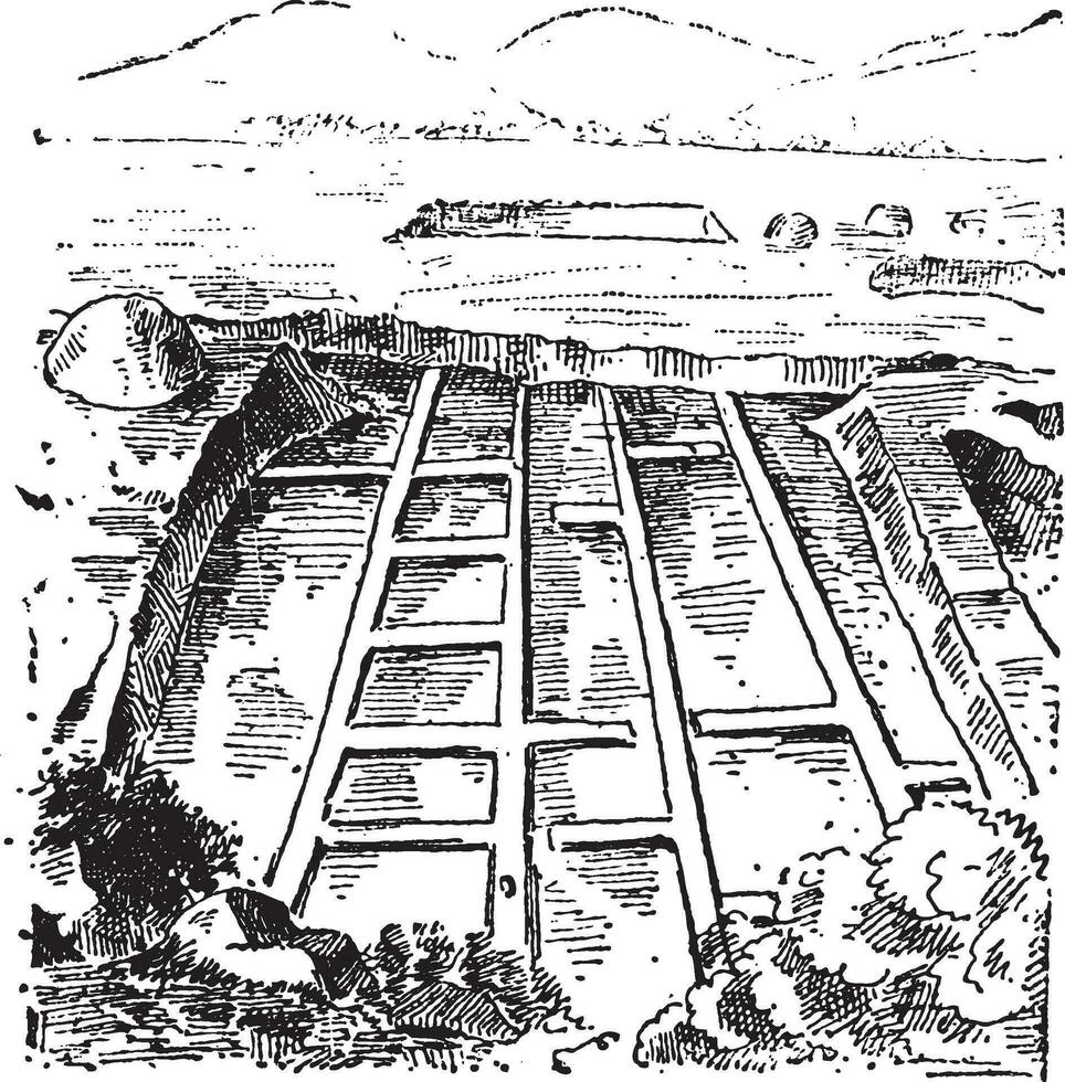 les marais salants, ancien gravure vecteur