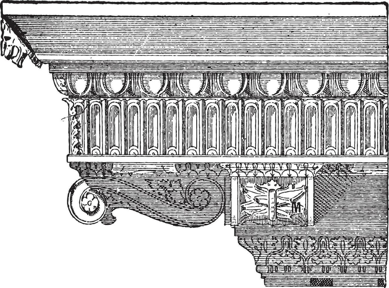 corbeau, ancien gravure vecteur