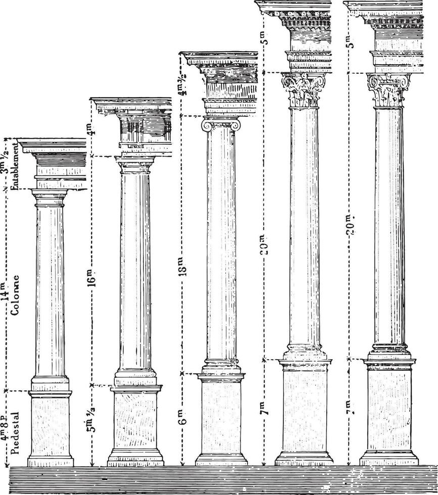 cinq ordres de architecture, ancien gravure. vecteur