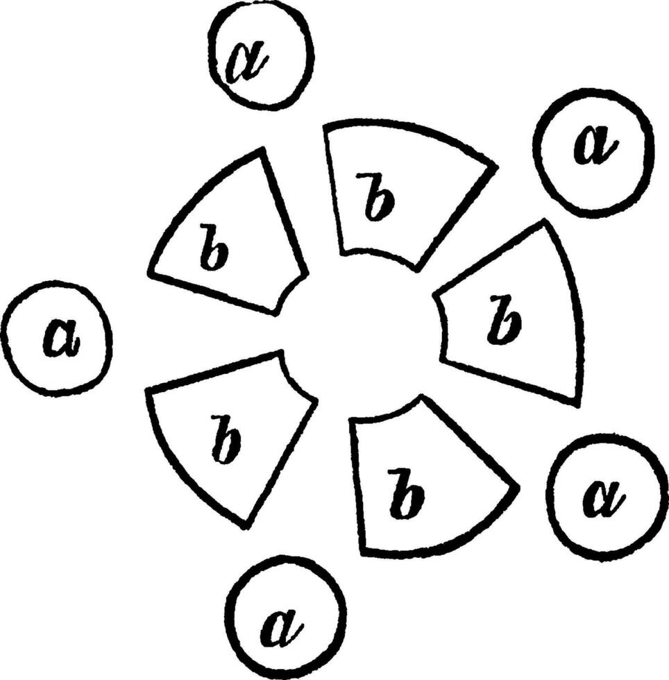 arrangement de étamines et carpelles ancien illustration. vecteur