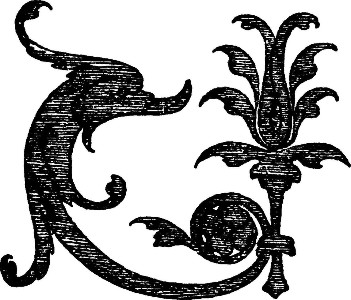 dauphin majolique tuile est a trouvé dans st. Catherine dans Sienne, ancien gravure. vecteur