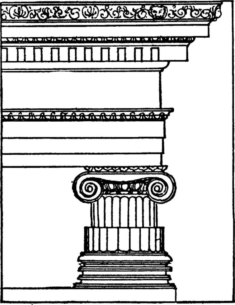 grec ionique commande, pilier, ancien gravure. vecteur
