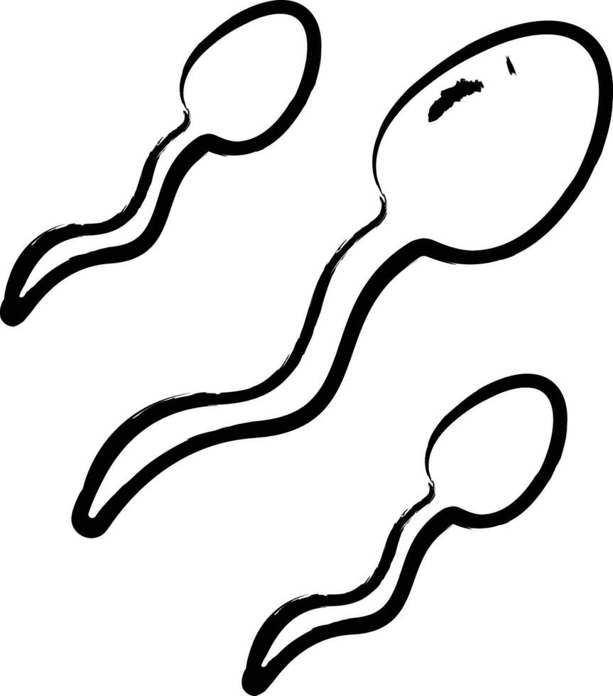 les spermatozoïdes main tiré vecteur illustration