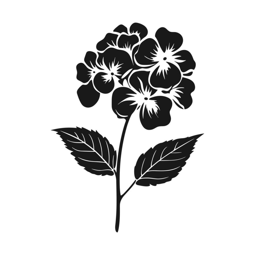 une hortensia fleur vecteur silhouette isolé sur une blanc Contexte
