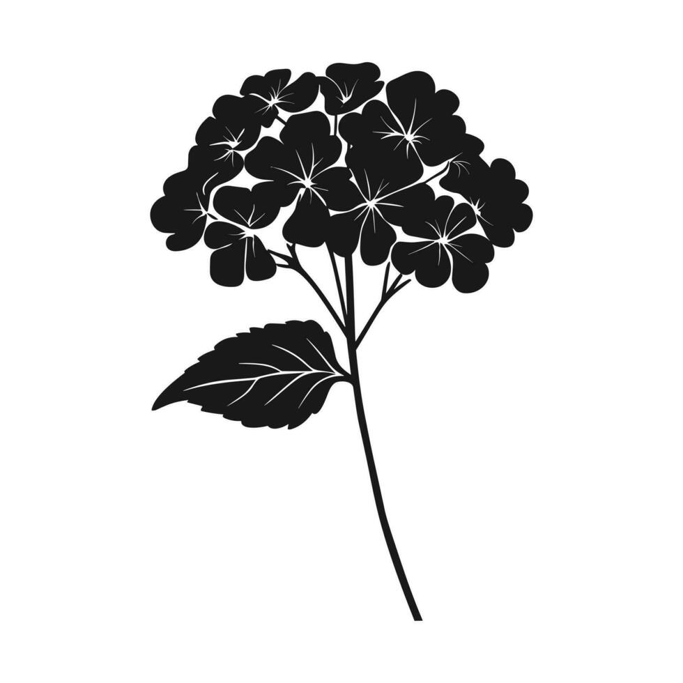 une hortensia fleur vecteur silhouette isolé sur une blanc Contexte