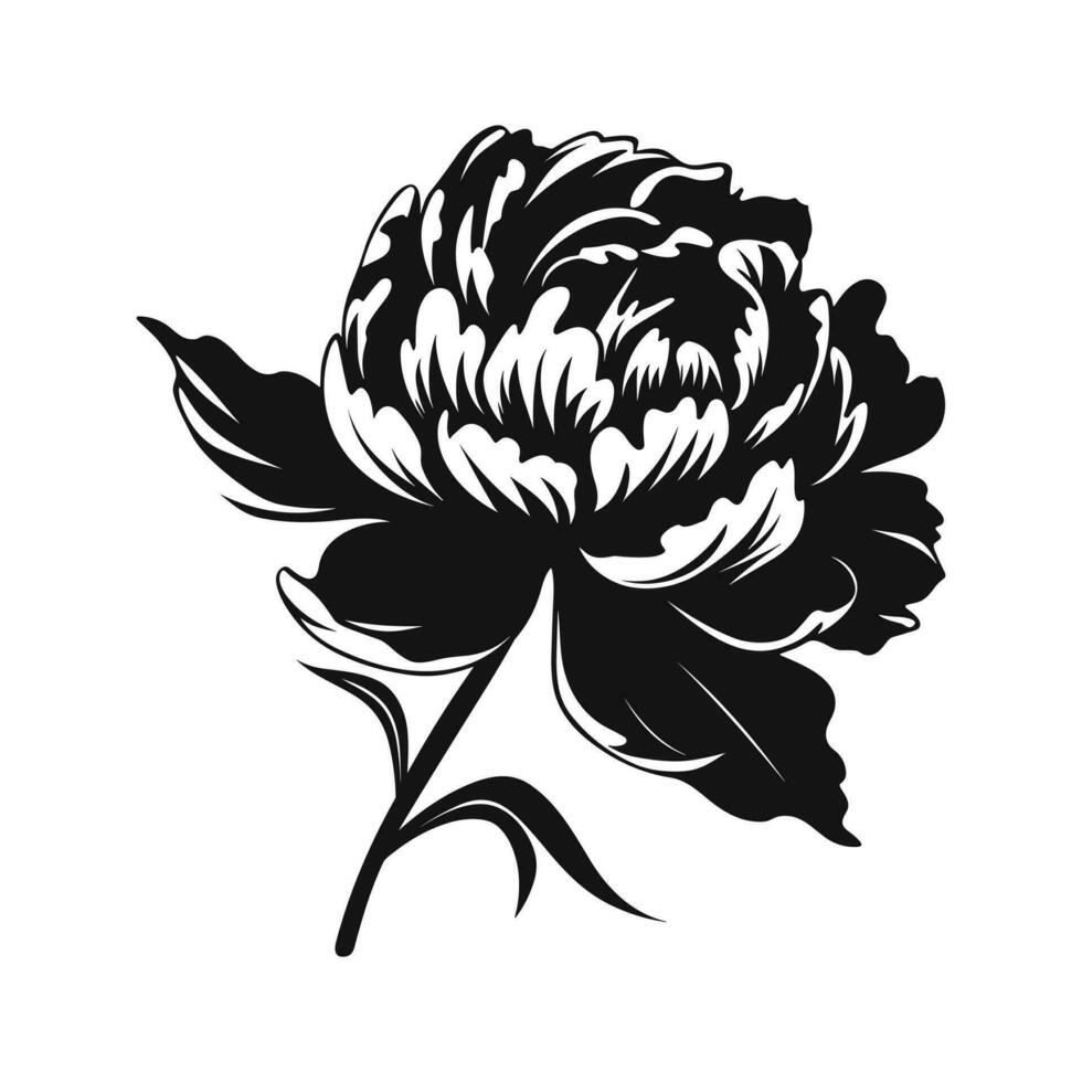une pivoine fleur vecteur silhouette isolé sur une blanc Contexte