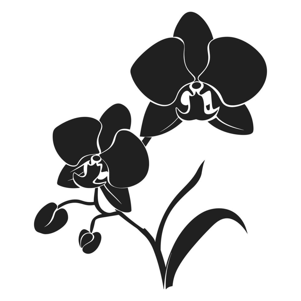 une orchidée fleur vecteur silhouette isolé sur une blanc Contexte