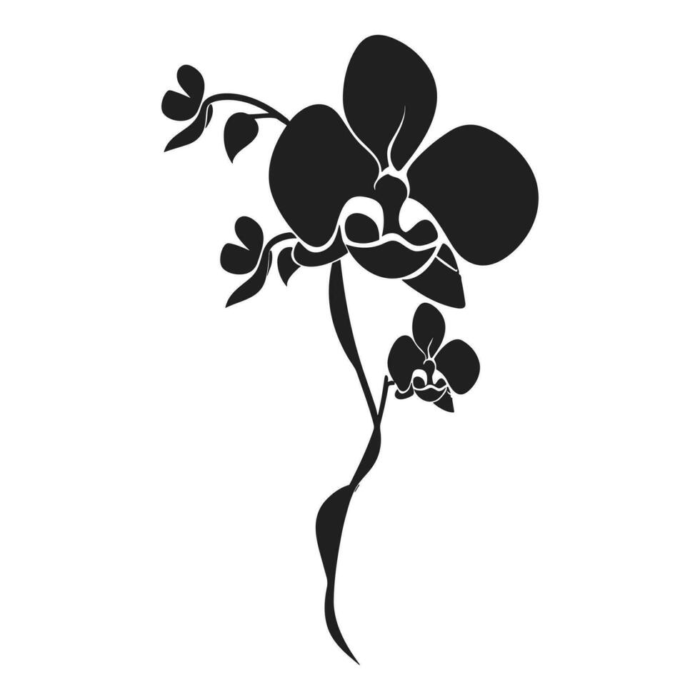 une orchidée fleur vecteur silhouette isolé sur une blanc Contexte