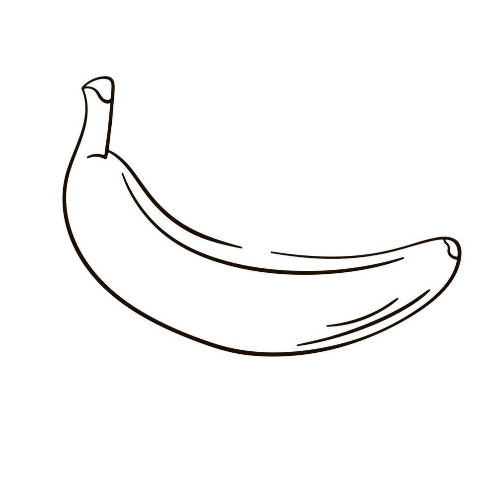 banane fruit isolé sur blanc Contexte dans ligne art style, griffonnage et lignes. vecteur illustration main dessiné.