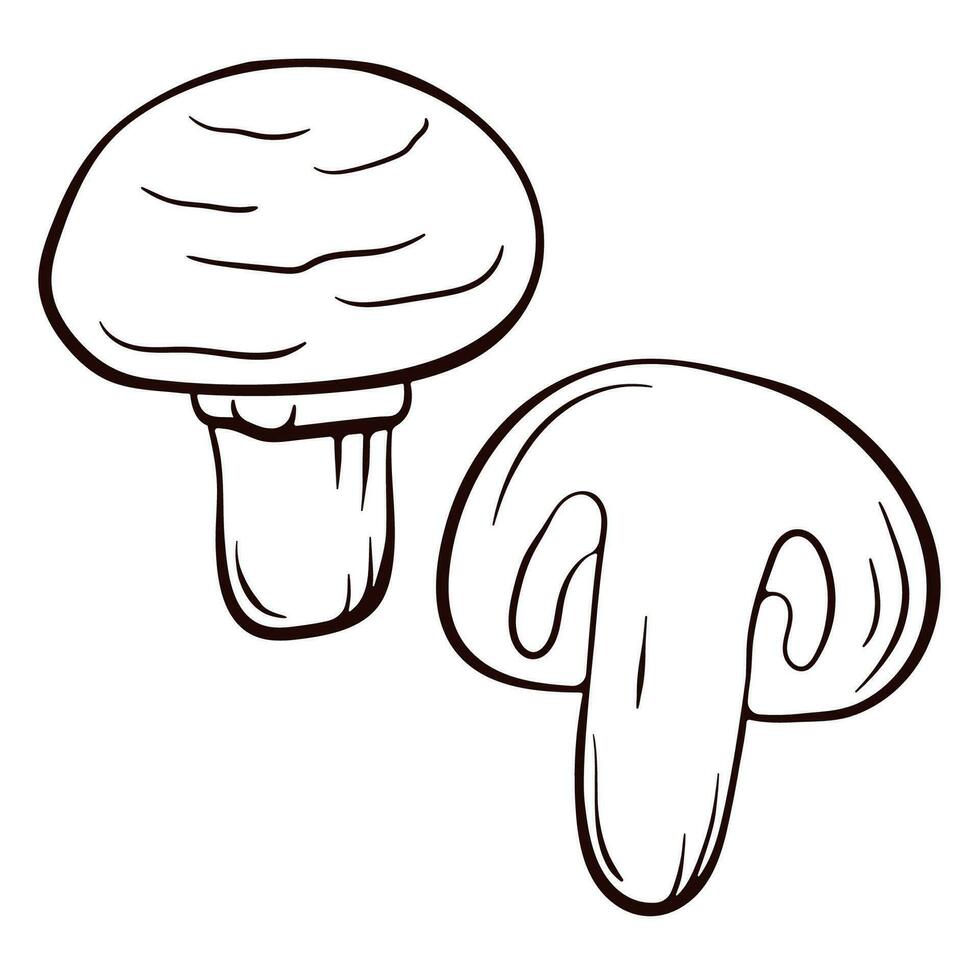 champignon champignon logo pour menu, restaurant, impression dans une ligne art style. Créatif encre art travail. vecteur illustration isolé sur une blanc Contexte.