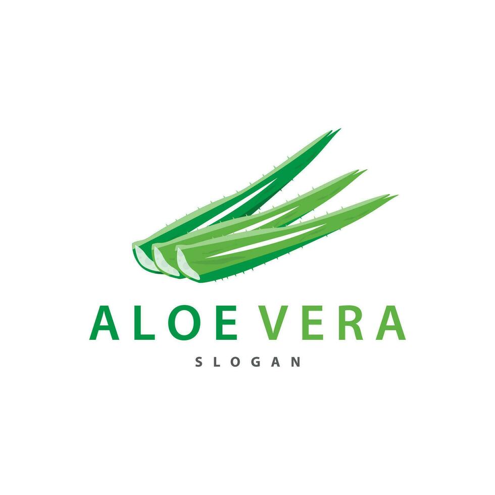 aloès Vera logo conception Facile illustration santé à base de plantes plante herbe vecteur