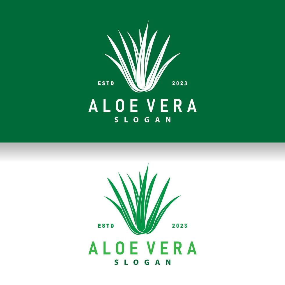 aloès Vera logo conception Facile illustration santé à base de plantes plante herbe vecteur