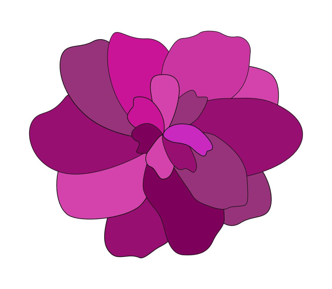 fleur rose colorée sur fond blanc. illustration vectorielle vecteur