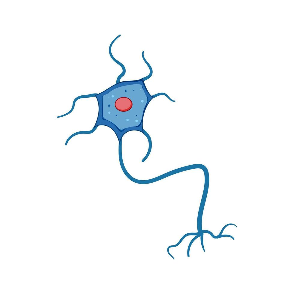synapse les neurones dessin animé vecteur illustration