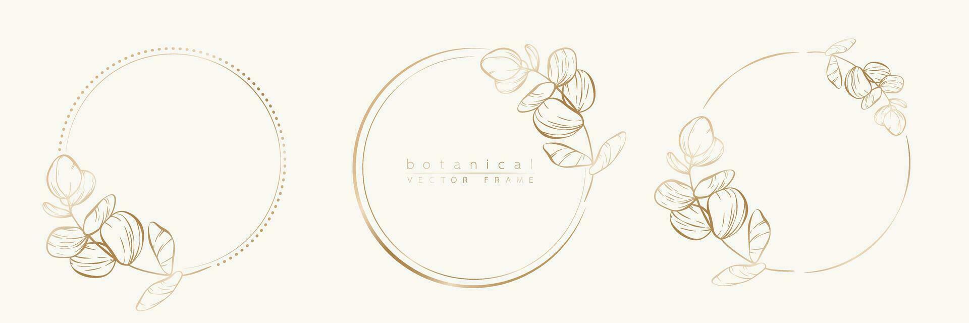 botanique d'or cercle Cadre ensemble. main tiré rond ligne frontière, feuilles et fleurs pour mariage invitation et cartes, logo conception, social médias et affiches modèle. élégant minimal floral vecteur. vecteur