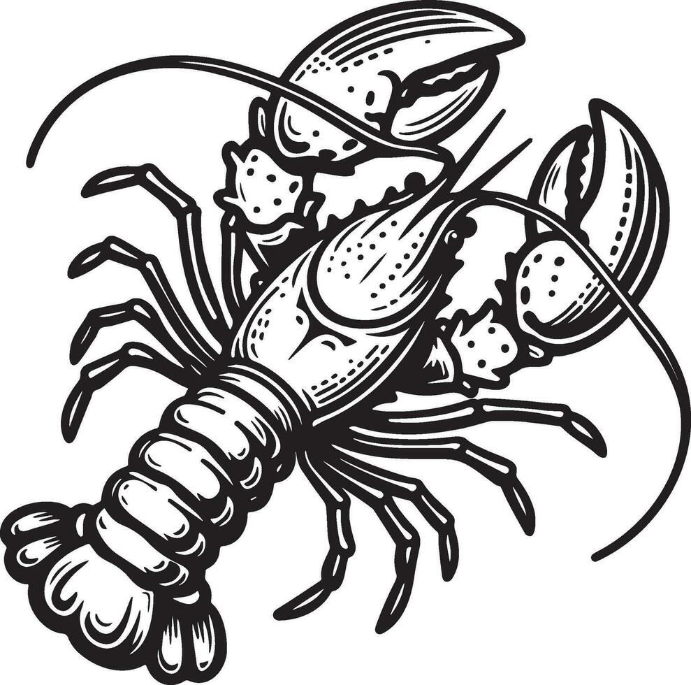 Homard esquisser dessin. vecteur