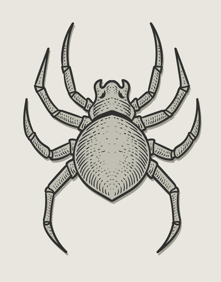 illustration araignée gravure style monochrome vecteur