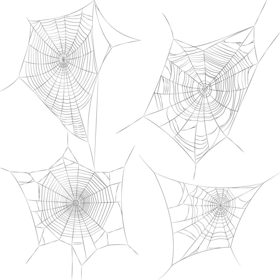 illustrations de toile d'araignée vecteur