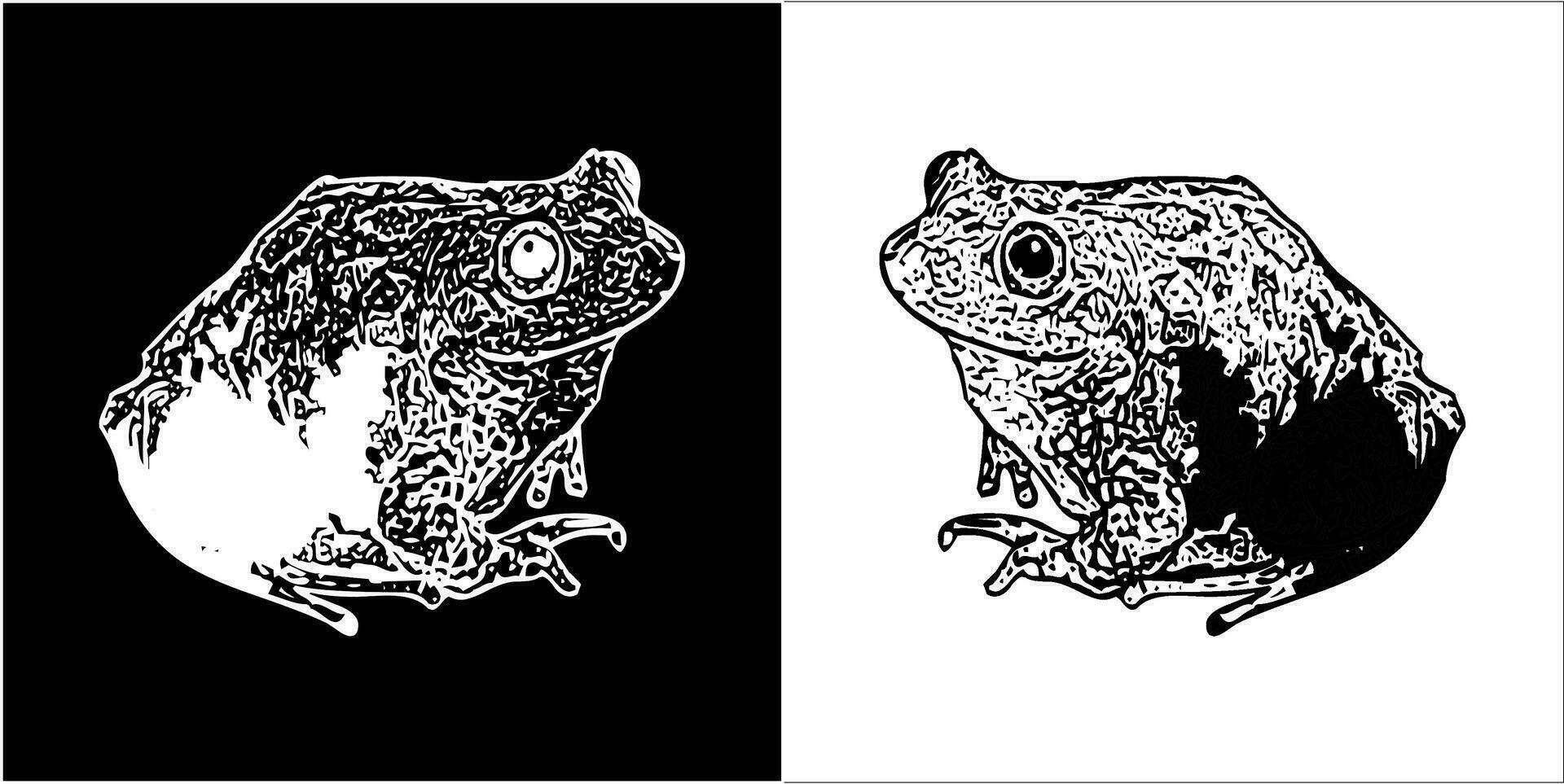 illustration vecteur graphique de grenouille icône