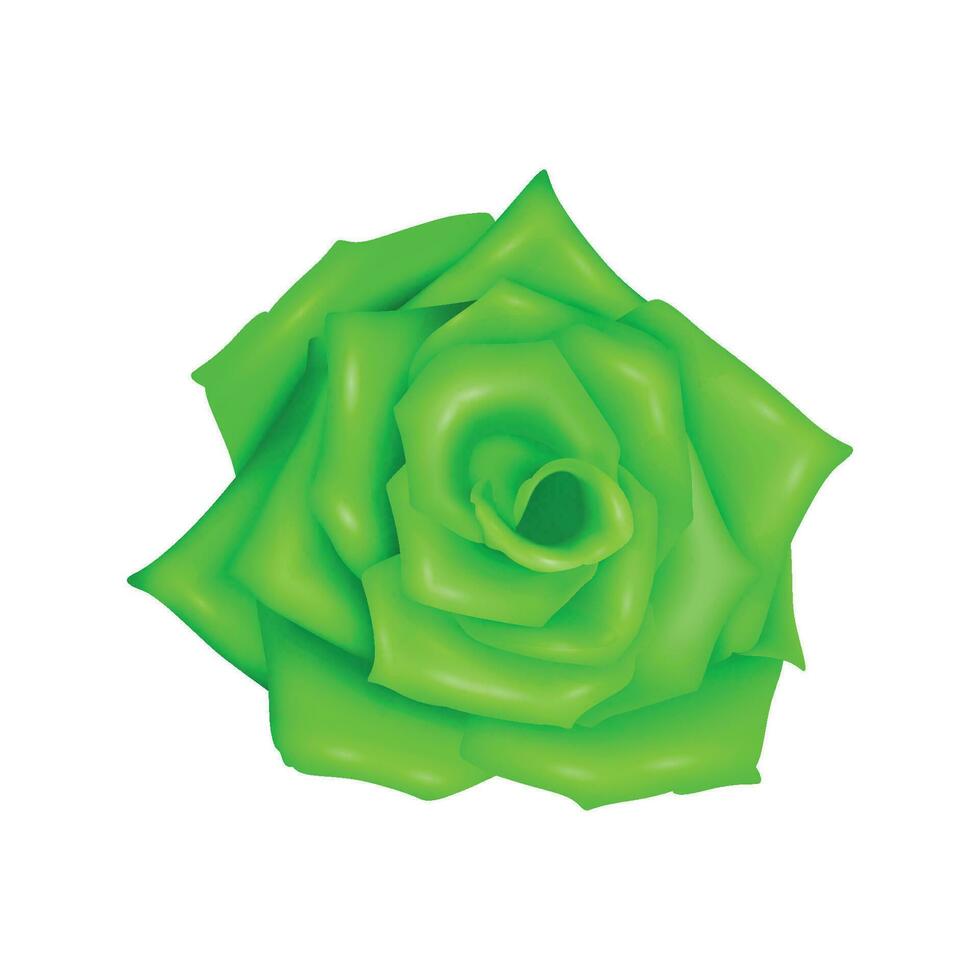 vecteur Rose réaliste avec vert fleur isolé