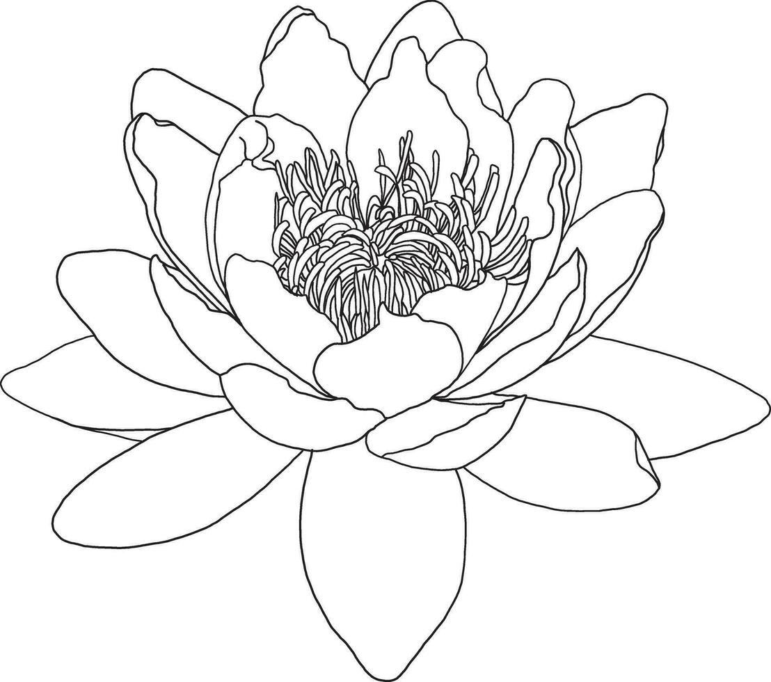 abstrait ligne de lotus fleur sur blanc Contexte. vecteur