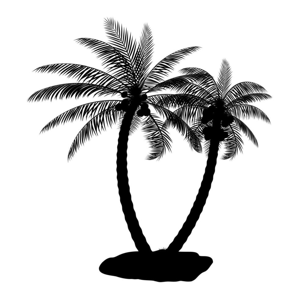 tropical paume silhouette. jungle feuilles ensemble. noix de coco palmier, monstère, ventilateur palmier, rhaps, banane arbre. Naturel feuille, exotique branches arbre. vecteur illustration