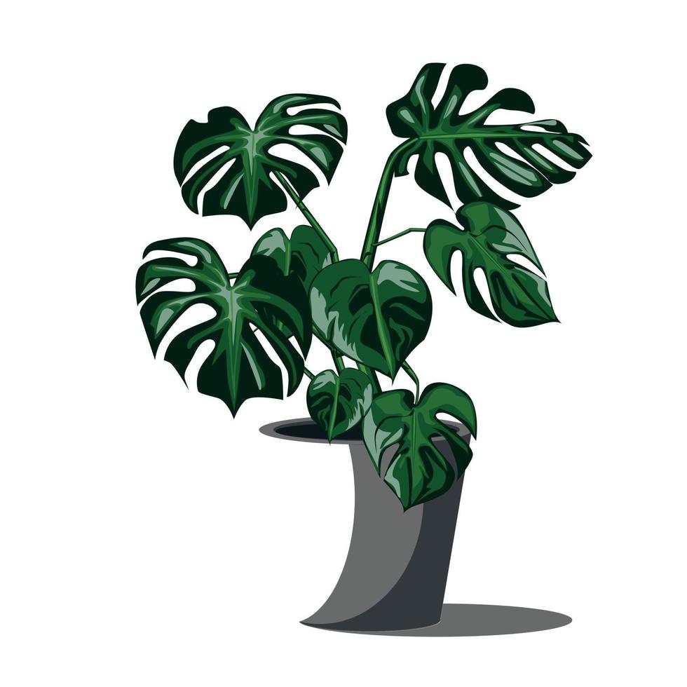 Image vectorielle de monstera plante illustration sur fond jaune vecteur