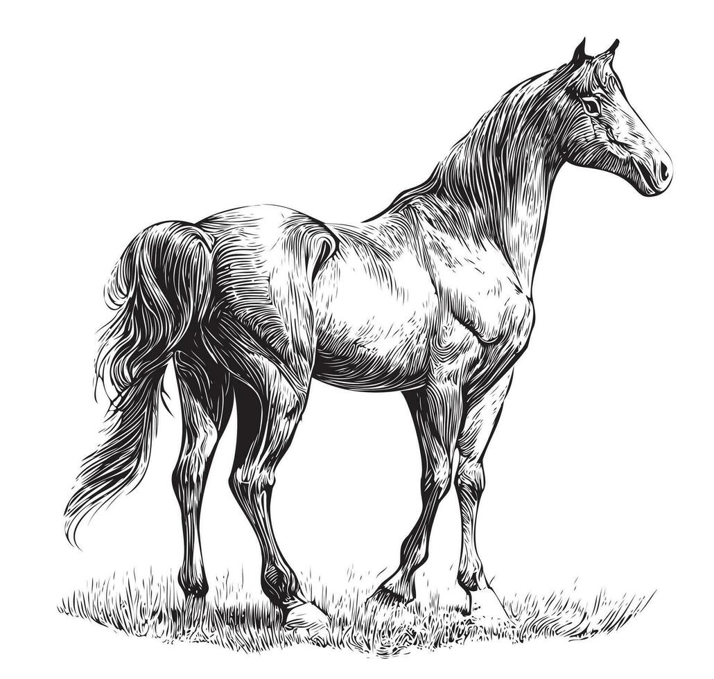 cheval ,main tiré esquisser dans griffonnage style vecteur illustration